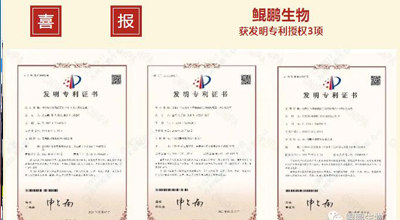 鯤鵬生物 | 核心平臺(tái)技術(shù)獲得中國(guó)發(fā)明專利